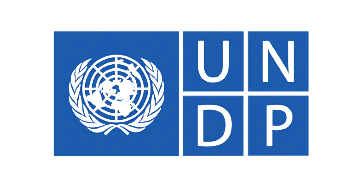 UNDP logo